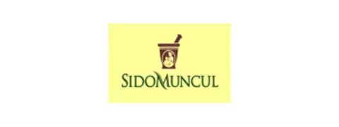 Logo Sido Muncul