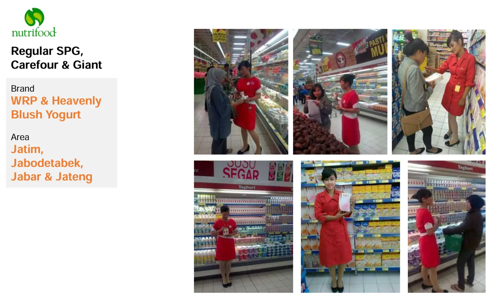 Overview proyek Nutrifood — Regular SPG Carrefour & Giant