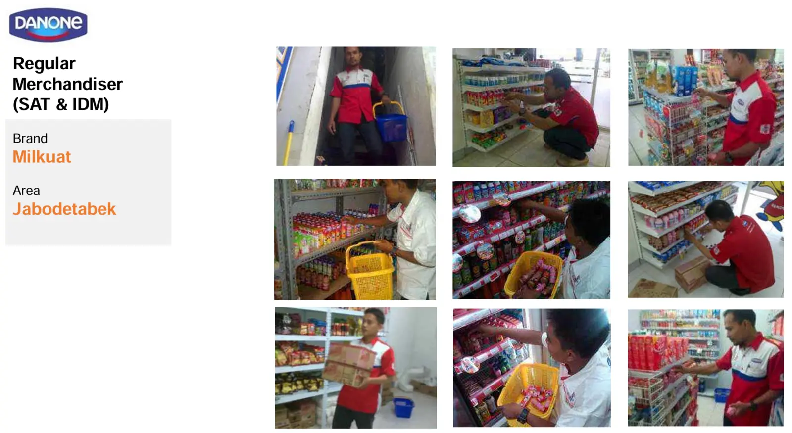 Overview proyek Danone — Regular Merchandiser SAT & IDM