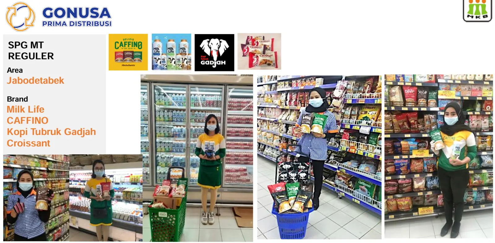 Overview proyek Gonusa Prima Distribusi — SPG Modern Trade Regular