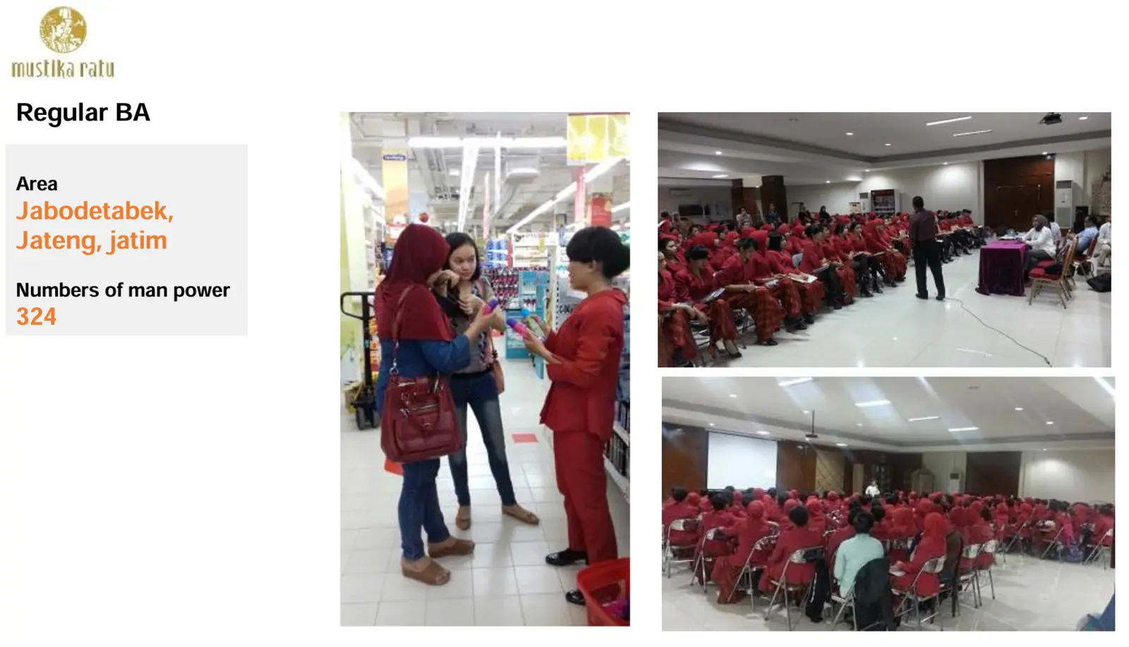 Overview proyek Mustika Ratu — Regular Beauty Advisor