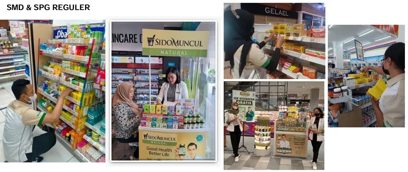 Overview proyek Sido Muncul — SMD & SPG Regular