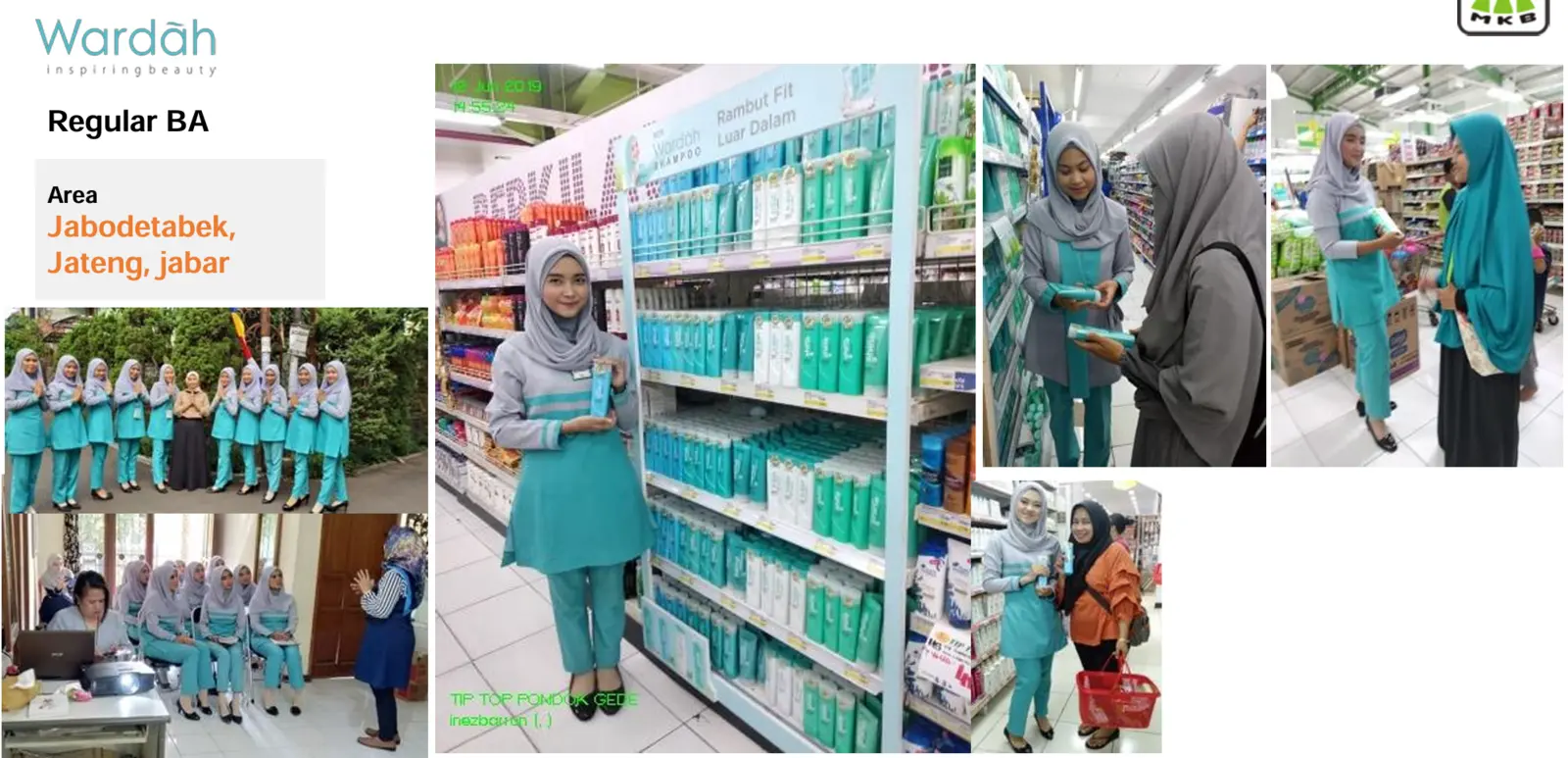 Overview proyek Wardah — Regular Beauty Advisor